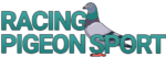 Racing Pigeon Sport
