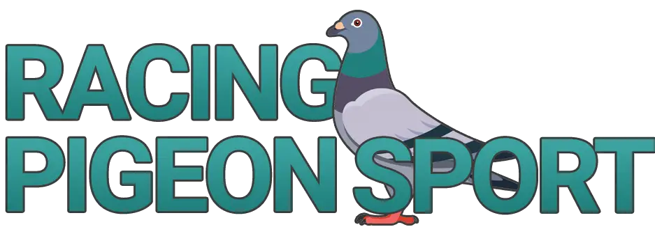 Racing Pigeon Sport