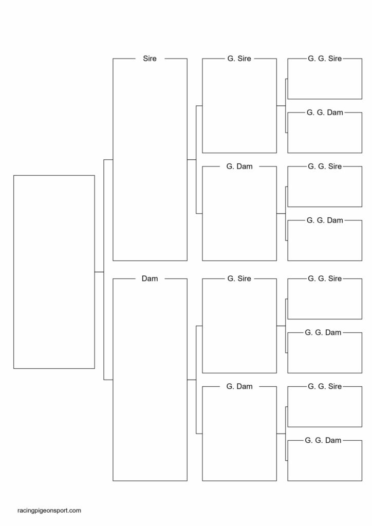 pigeon pedigree software